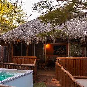Palm Valley Campsite Mazatlan
